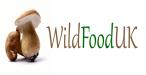 Autumn Foraging Course